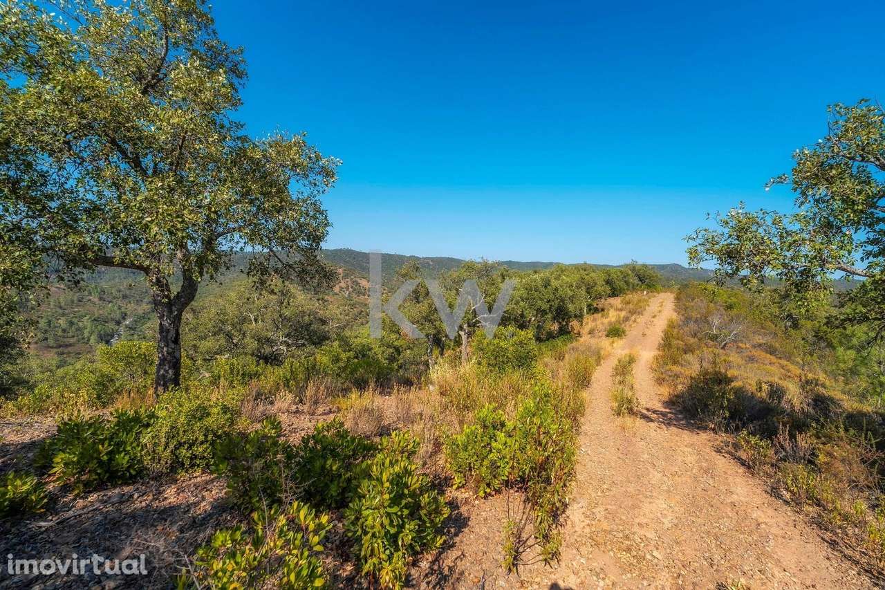 Terreno com 9700 m2 em Cepo, Querença, produção de cortiça e medronhos - Grande imagem: 3/29