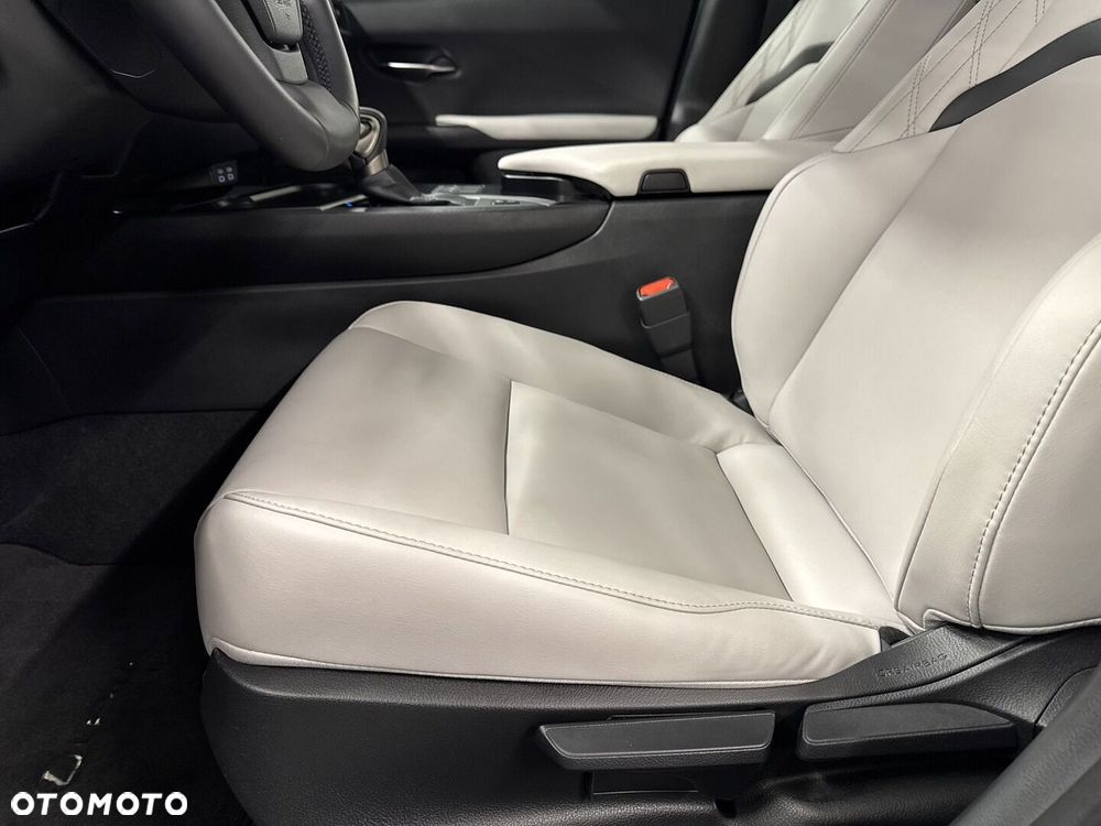 Lexus UX 250h GPF F Sport Design 2WD - 17