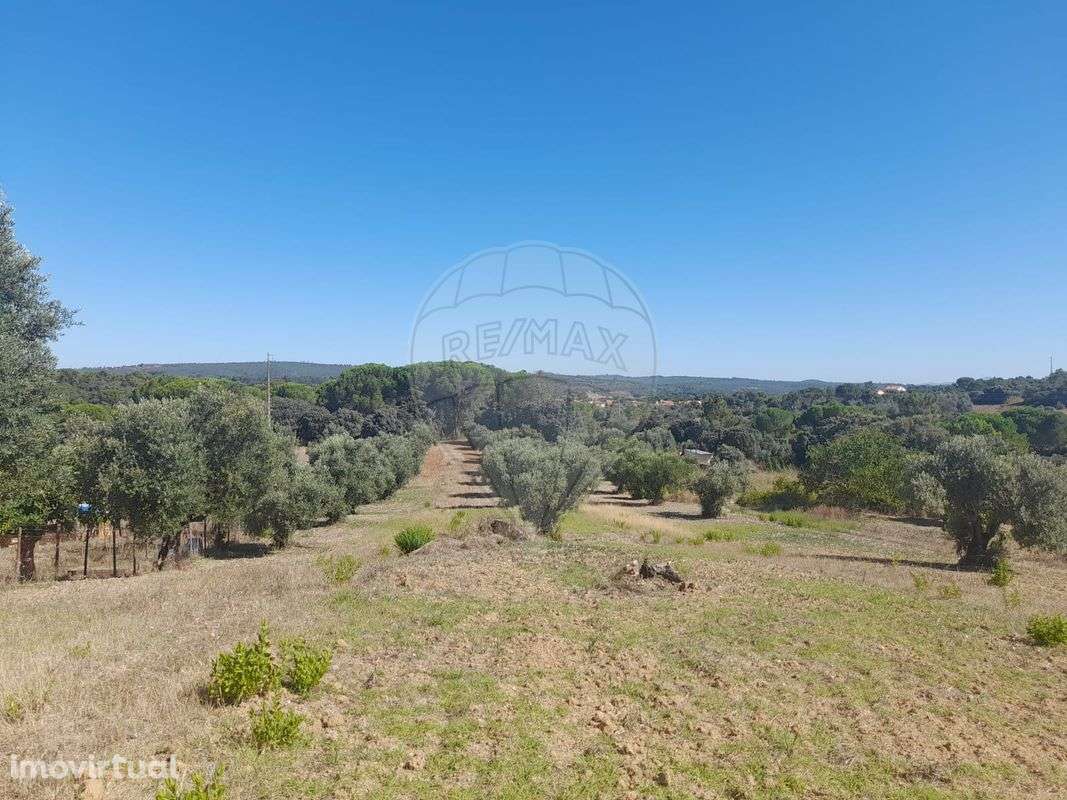 Terreno  para venda - Grande imagem: 5/8