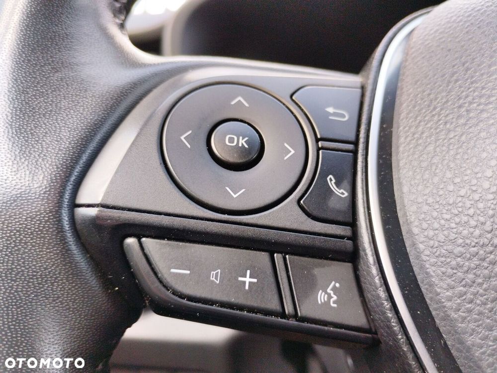 Toyota RAV4 2.5 Hybrid Selection 4x4 - 21