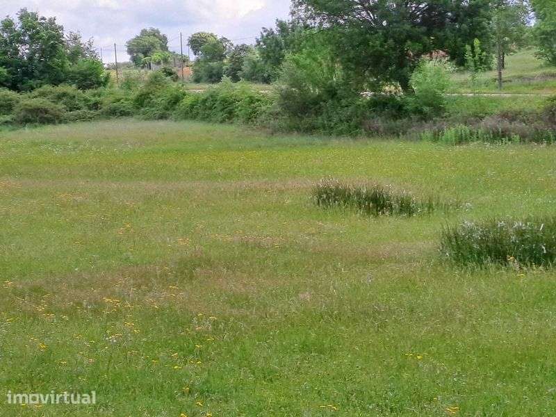 Terreno para venda em Baçal com 1,5 hectares - Bragança - Grande imagem: 4/10