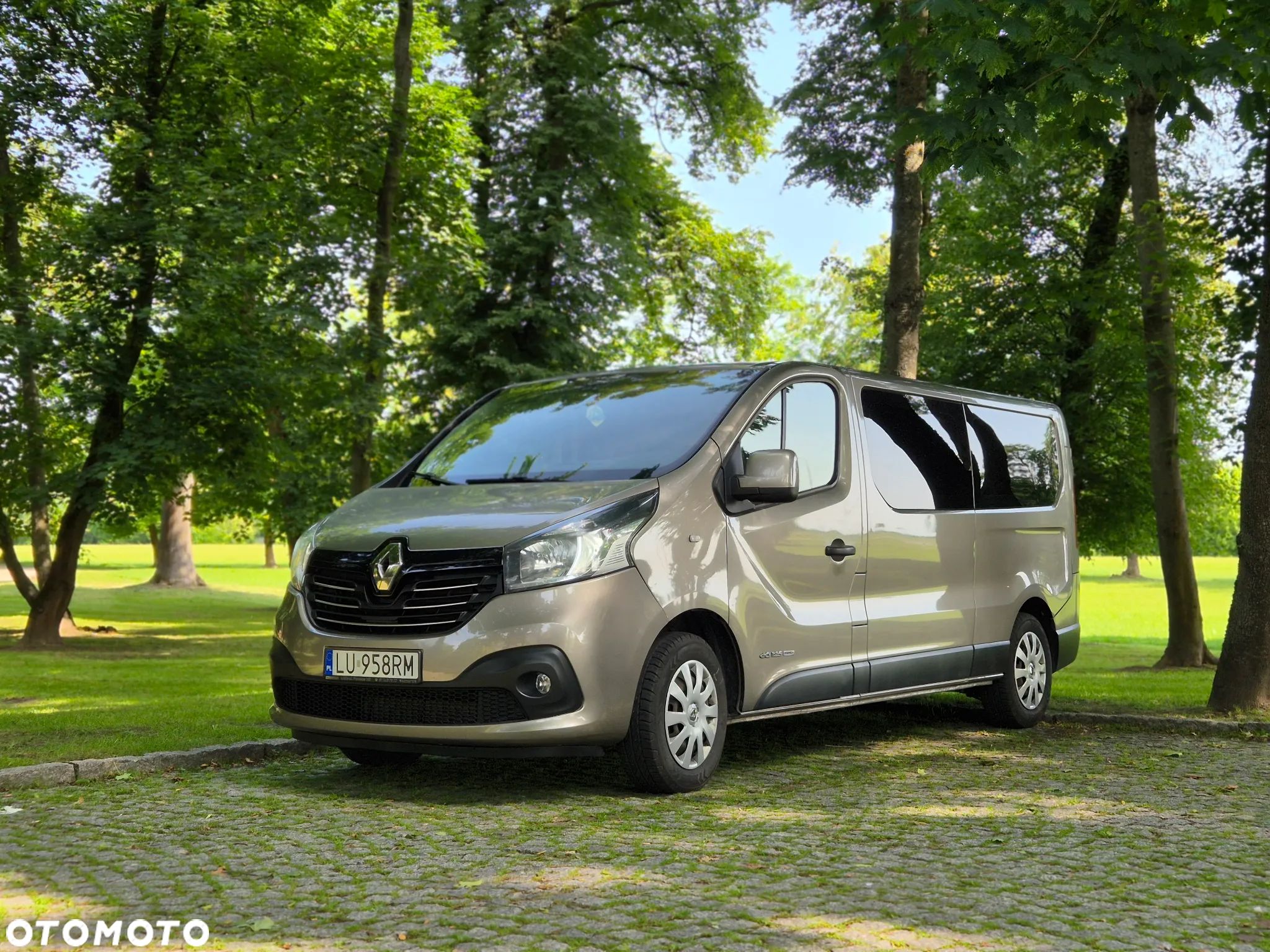 Renault Trafic - 1