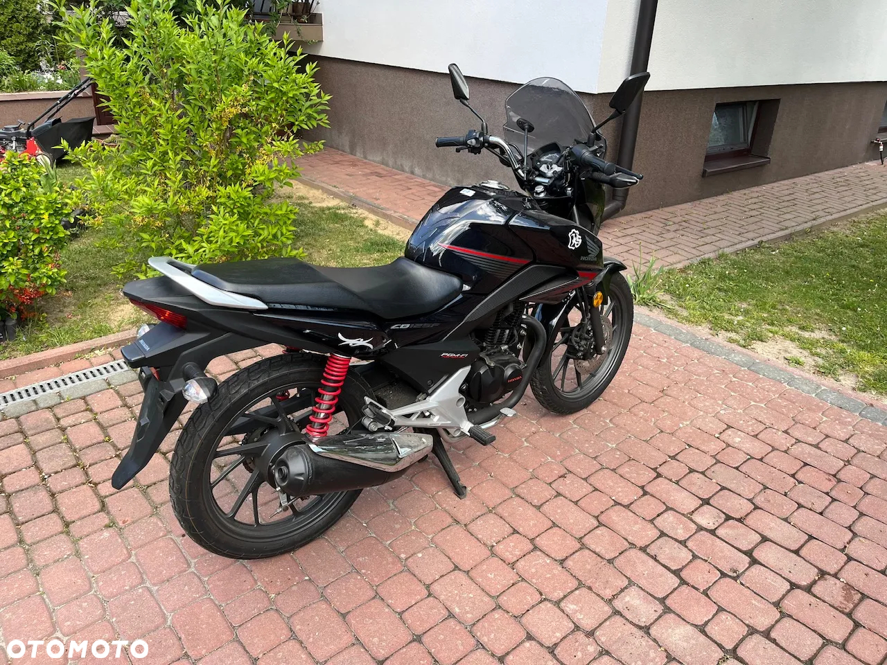 Honda CBF - 3