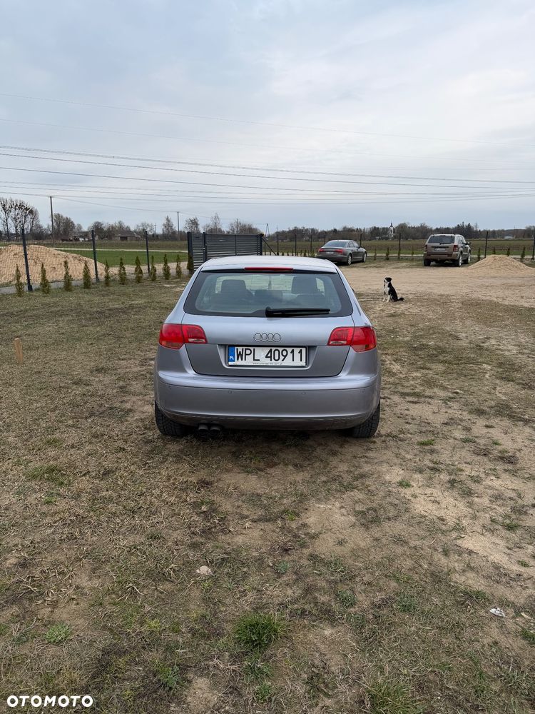 Audi A3 Sportback 1.9 TDI DPF Ambition - 12