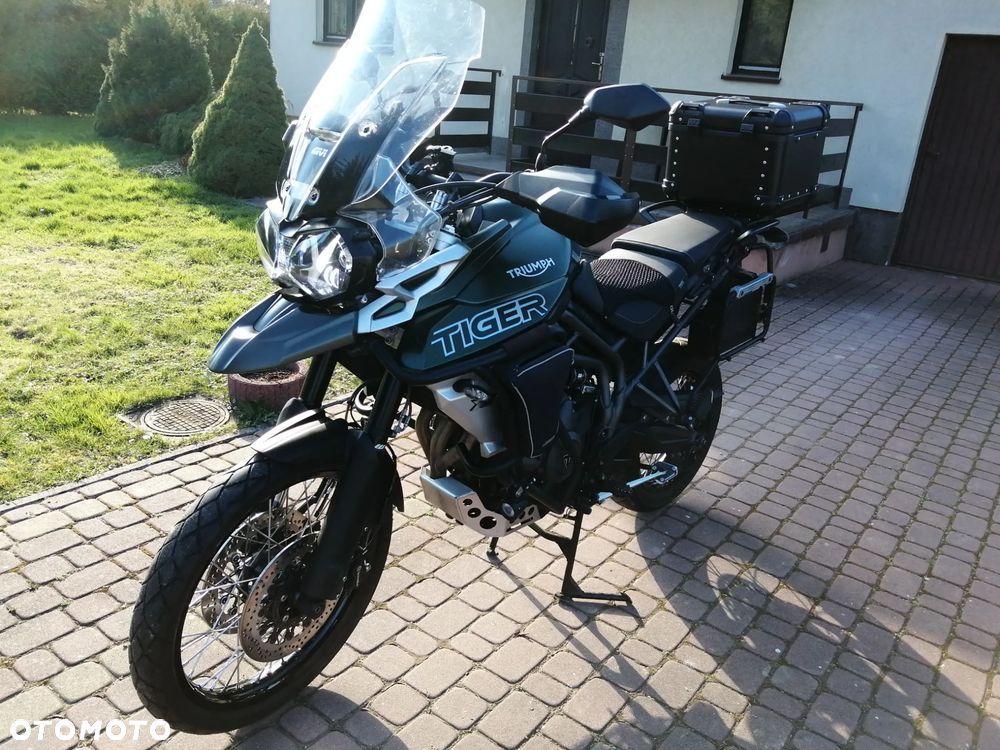 Triumph Tiger - 1