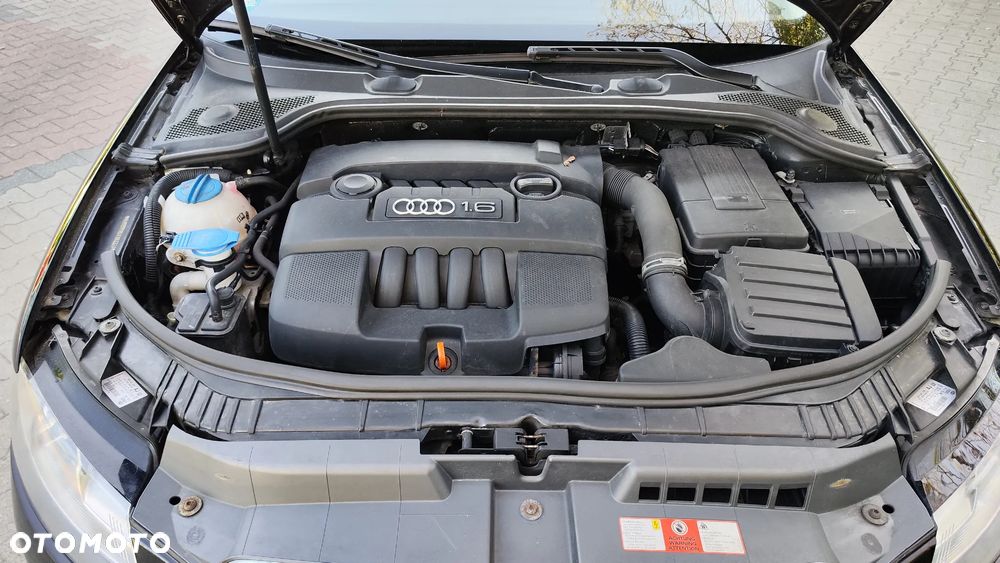 Audi A3 Sportback 1.6 Attraction - 33