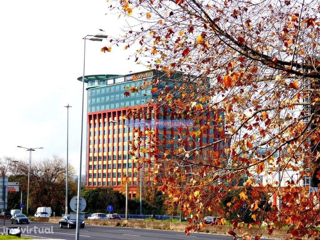 Apartamento excecional, último piso, T3 + 1. Portugal, Lisboa, São ... - Grande imagem: 4/9