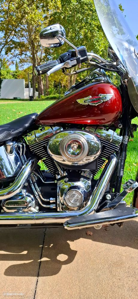 Harley-Davidson FLSTS Softail Deluxe - 3
