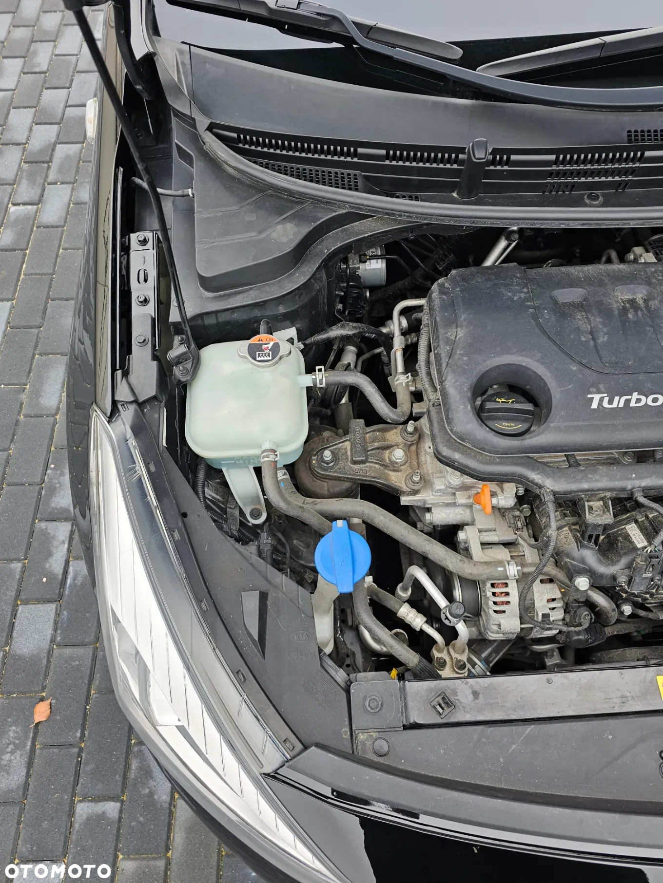 Kia Rio 1.0 T-GDI M - 23