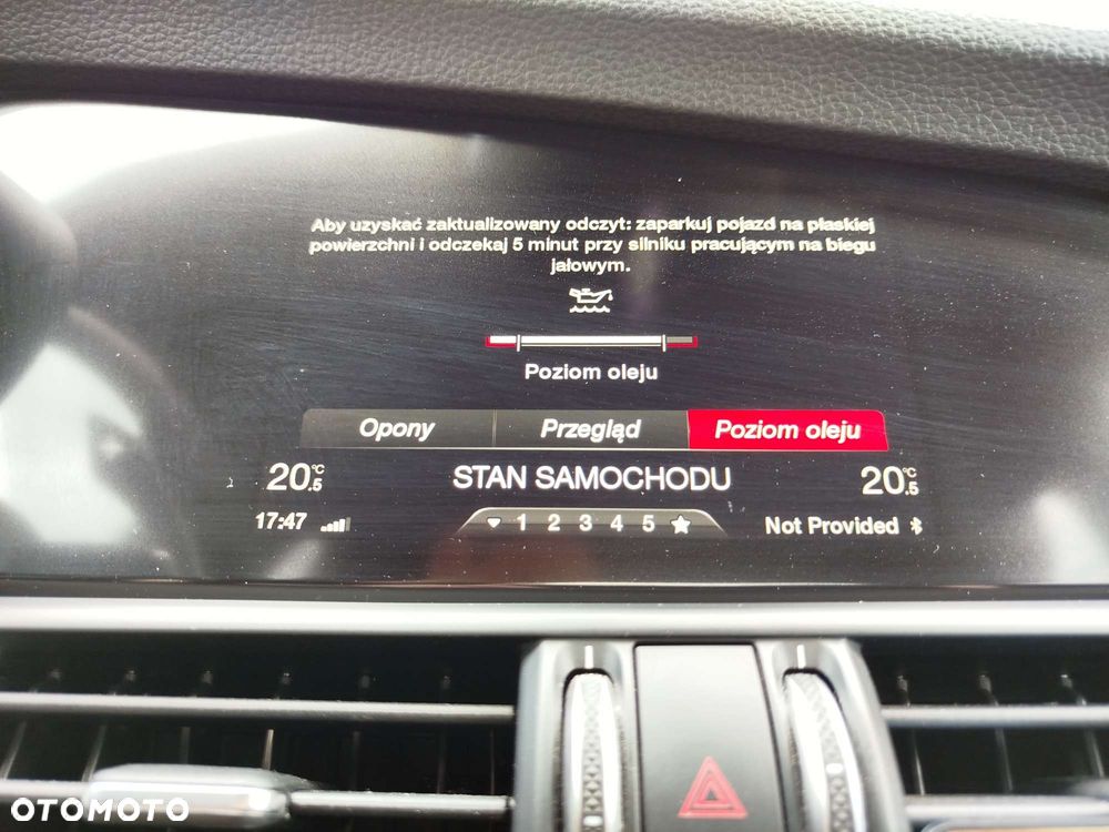 Alfa Romeo Giulia 2.0 Turbo Super - 29