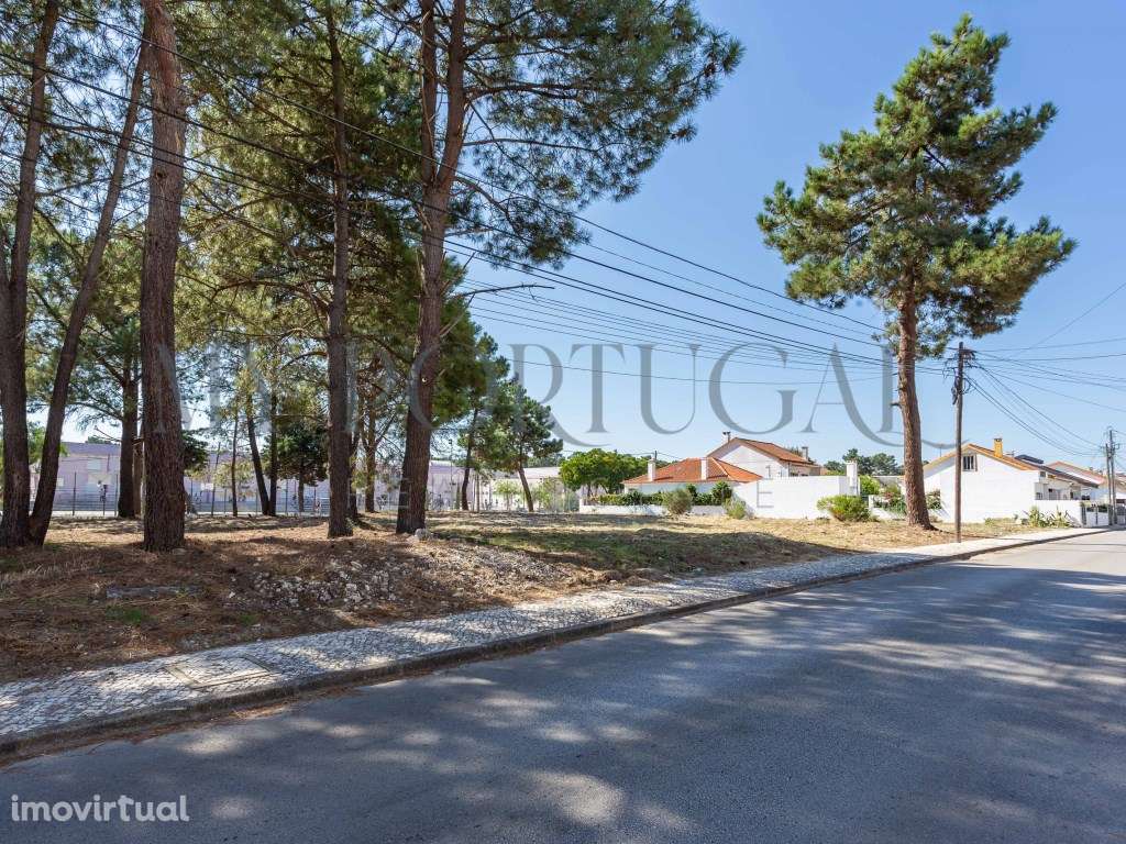 Oportunidade Única de Investimento em Saúde e Bem-Estar na Quinta d... - Grande imagem: 2/25