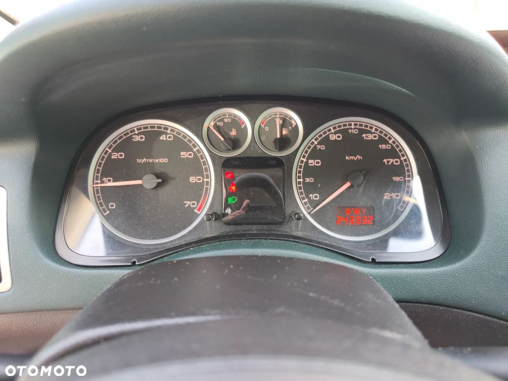 Peugeot 307 - 10