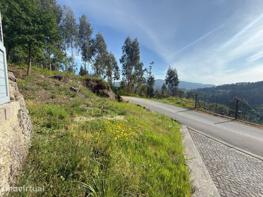 Terreno florestal/agrícola em Vieira do Minho - Grande imagem: 2/2
