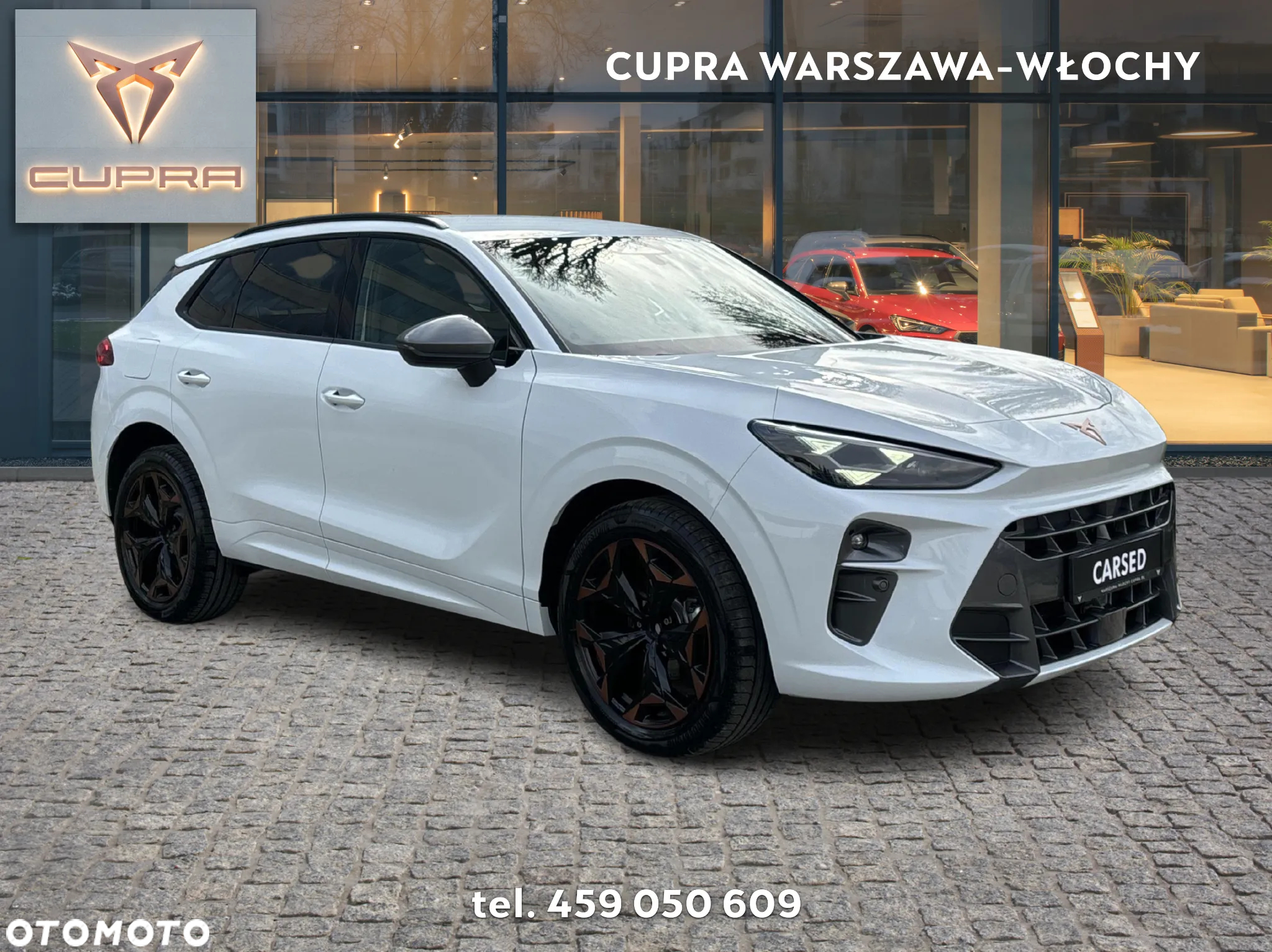 Cupra Terramar - 7