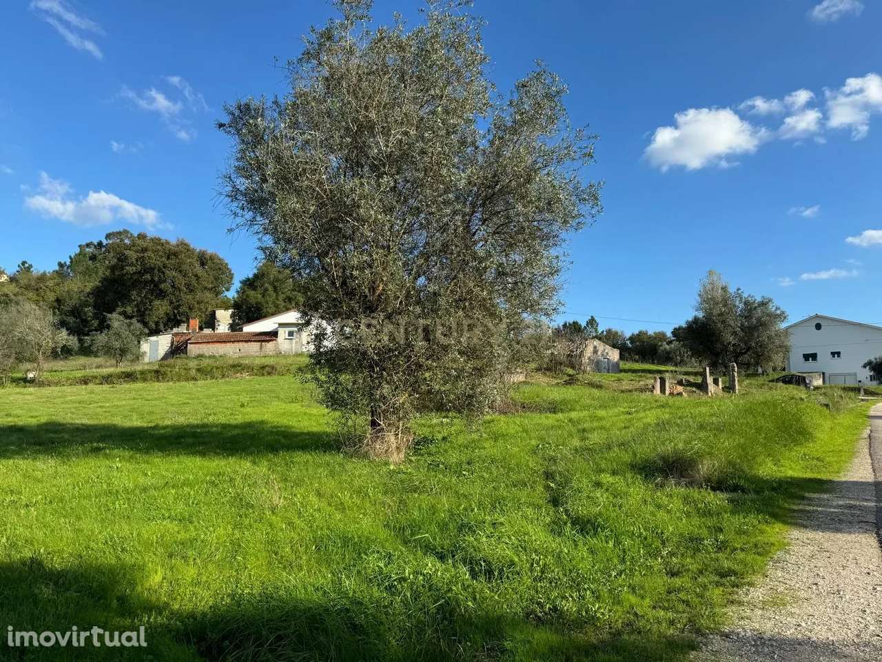 Moradia em ruina sita em Assanha da Paz - Grande imagem: 3/15