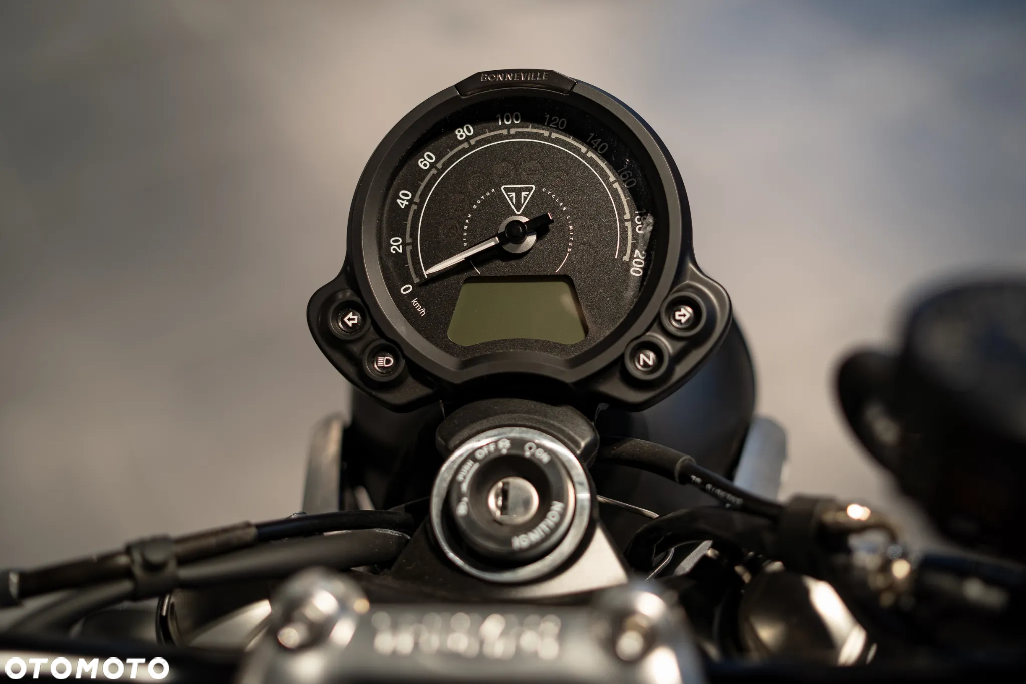 Triumph Speed Twin - 15