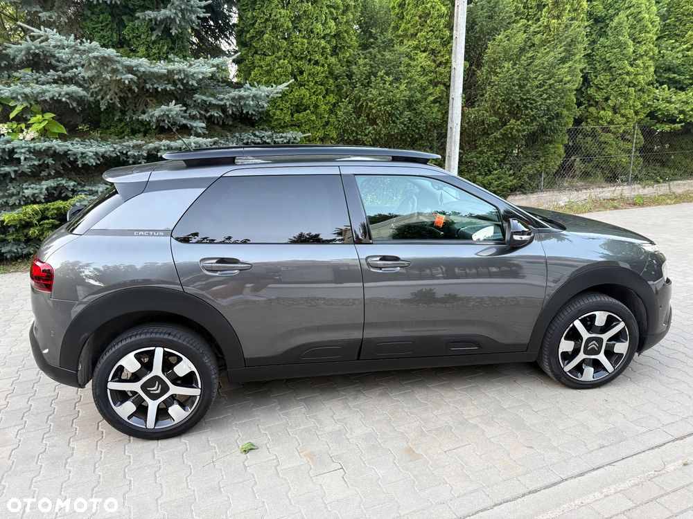 Citroën C4 Cactus 1.2 PureTech GPF Shine S&S EAT6 - 15