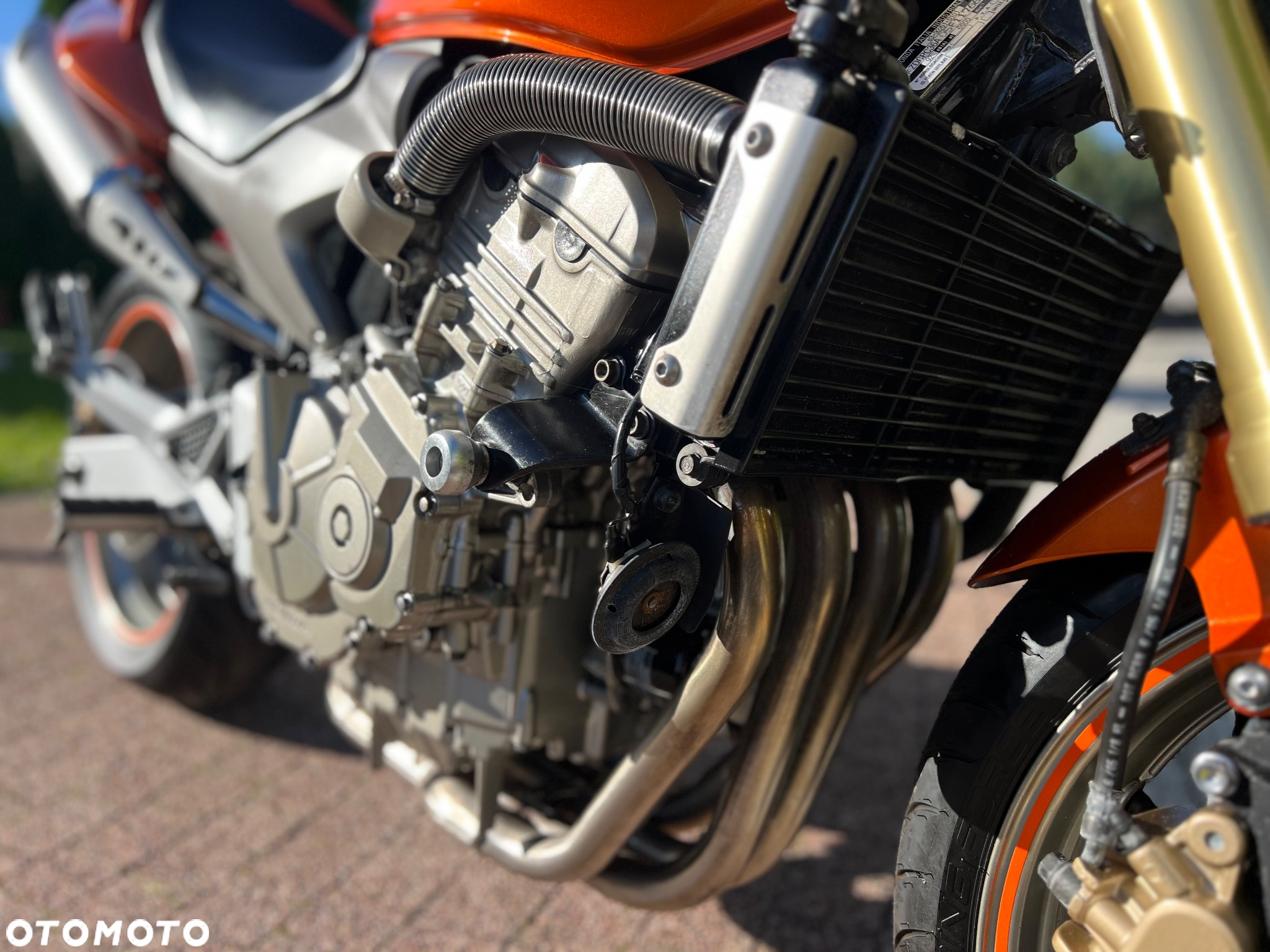 Honda Hornet - 5