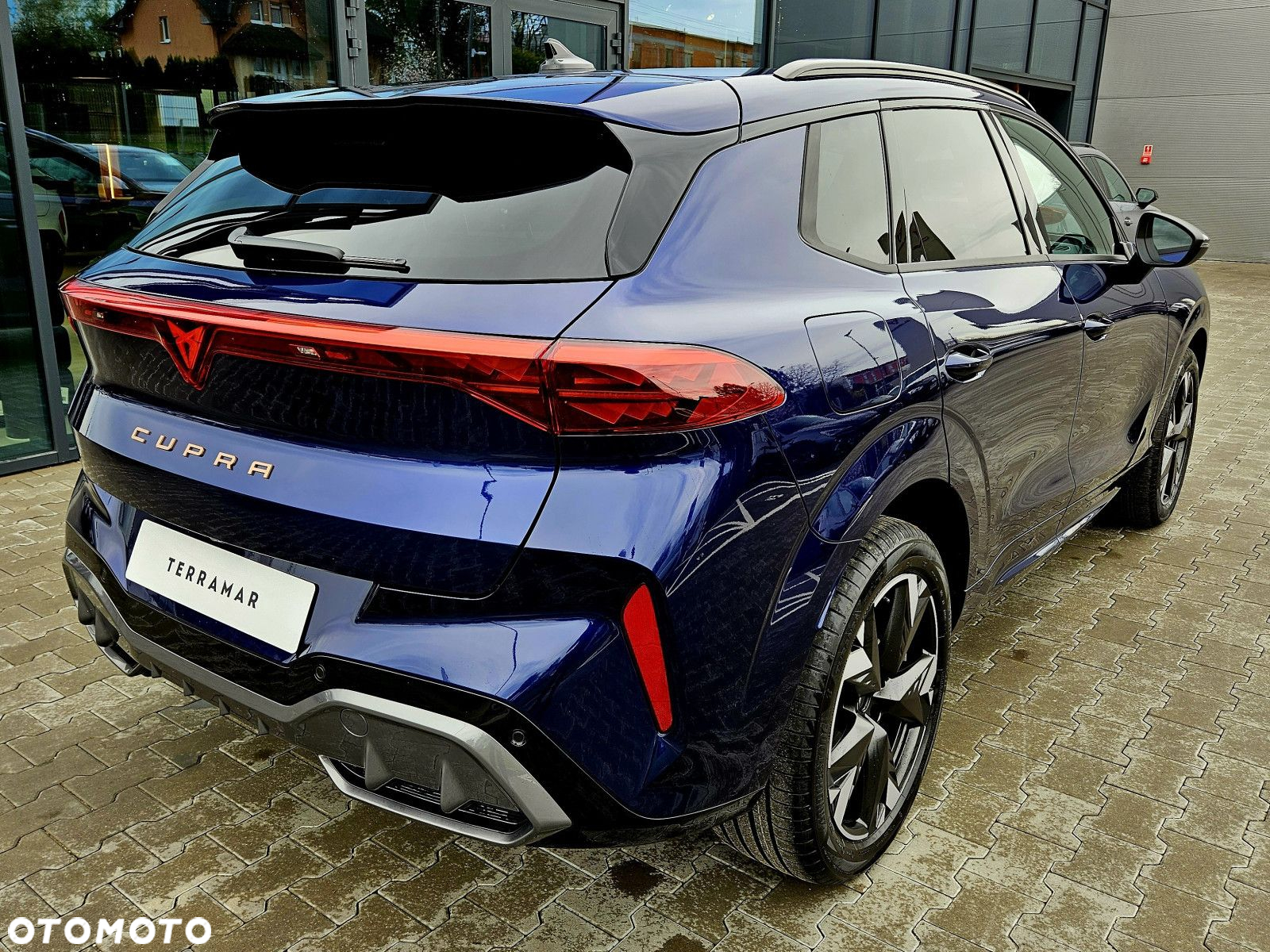 Cupra Terramar - 3