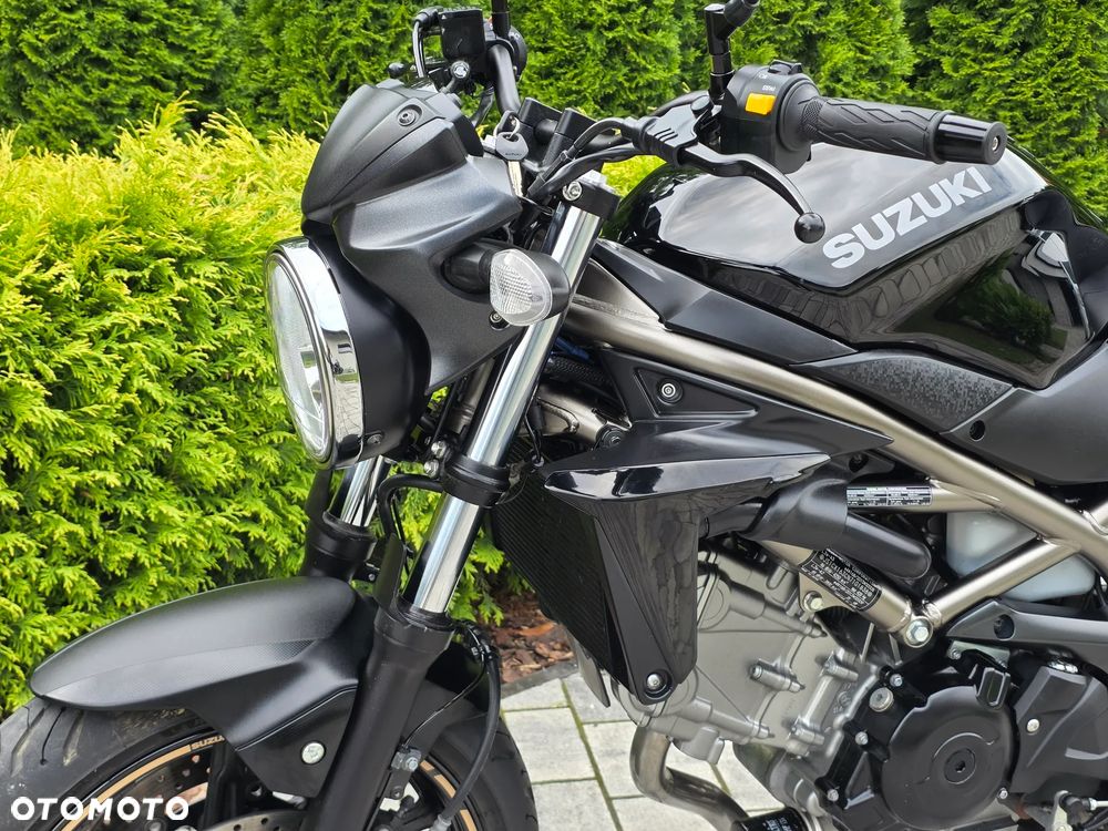 Suzuki SV - 19