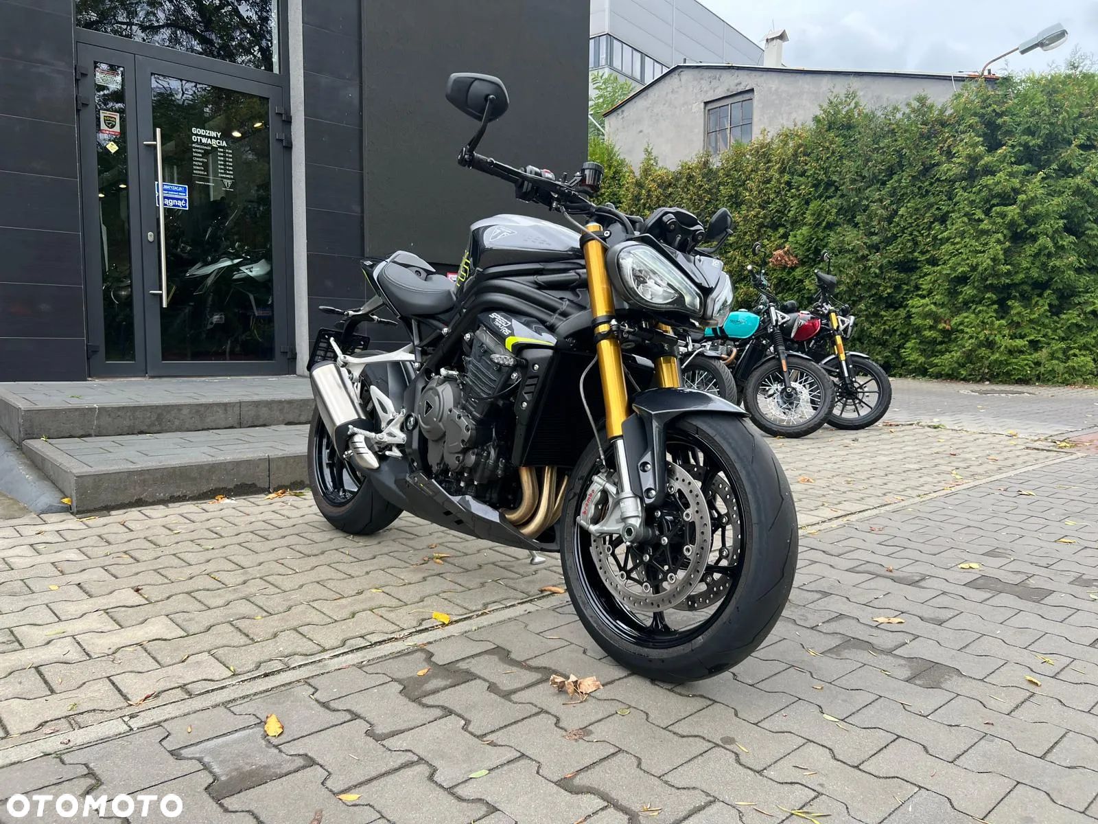 Triumph Speed Triple - 1