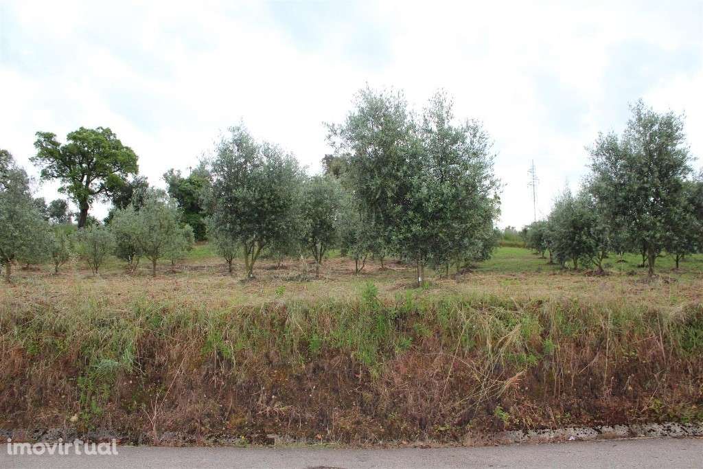 Terreno situado no concelho de Condeixa - Grande imagem: 2/10