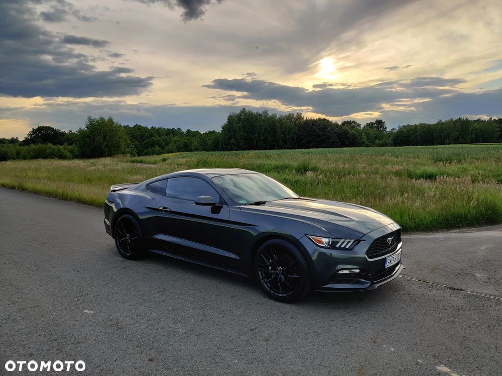 Ford Mustang 3.7 V6 - 21