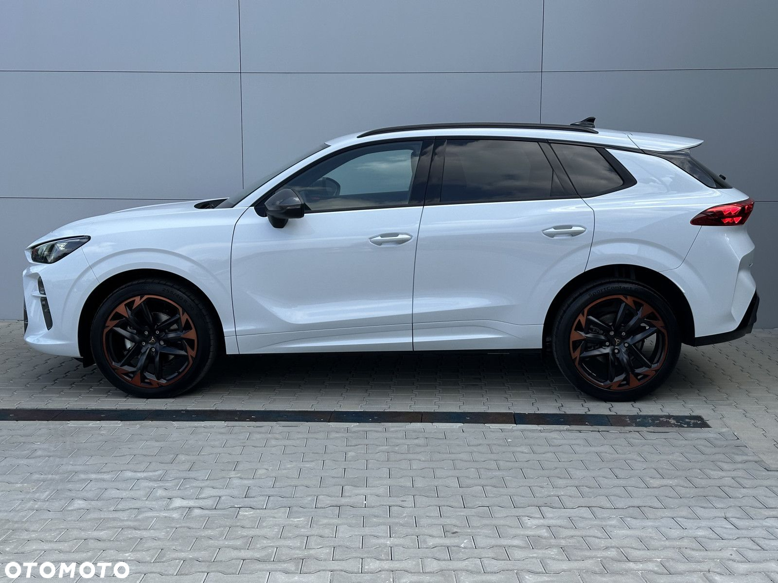 Cupra Terramar - 8