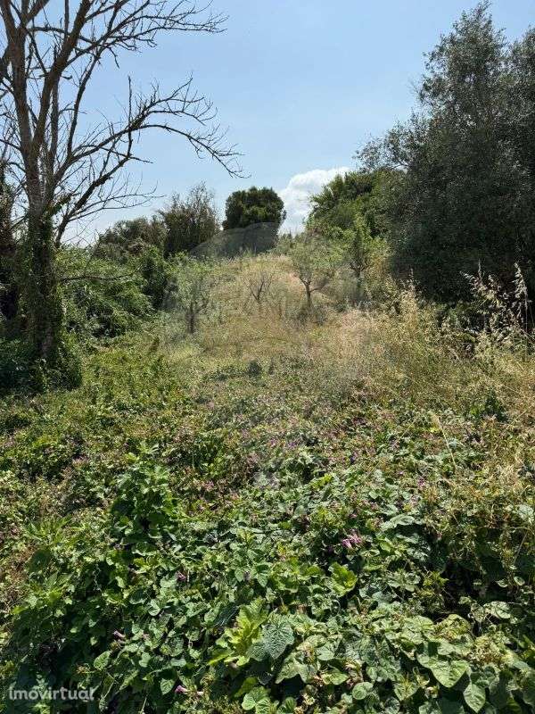 Moradia T2 para venda - Grande imagem: 4/12