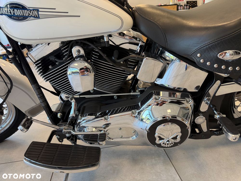Harley-Davidson Softail - 3