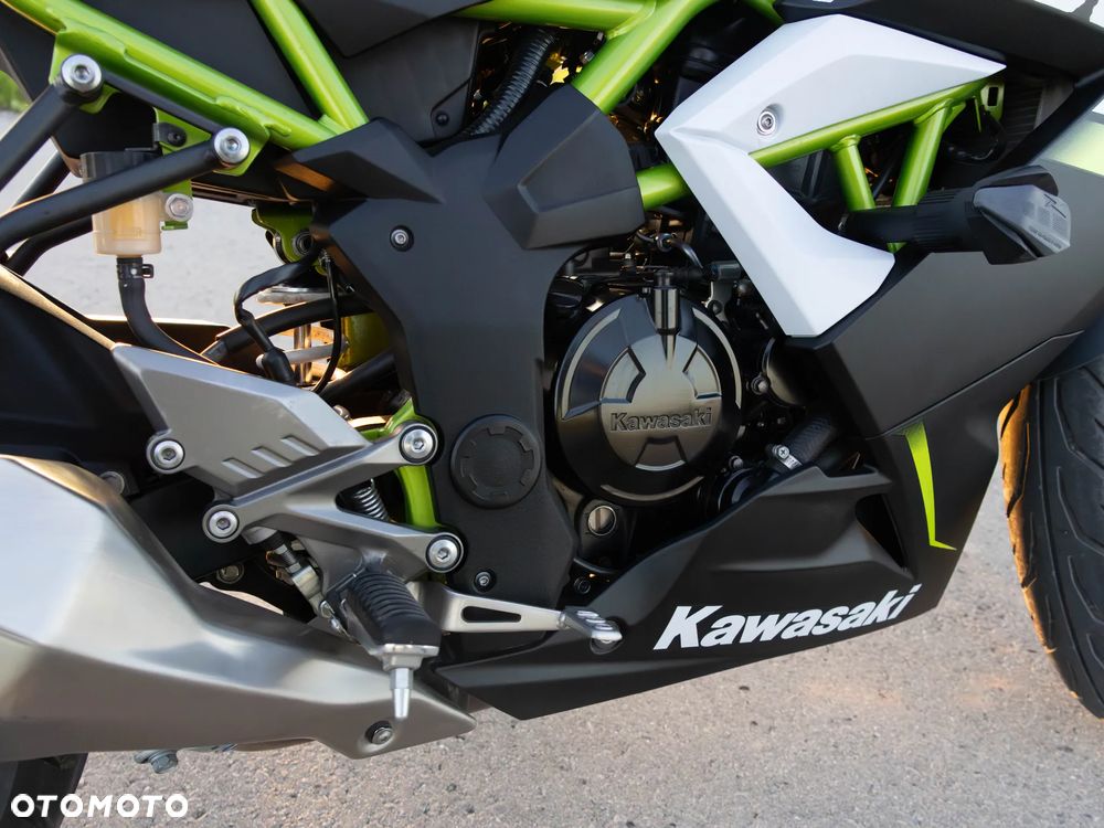 Kawasaki Ninja - 13