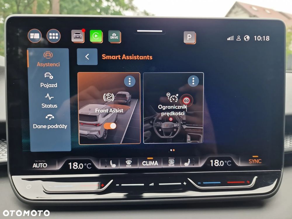Cupra Terramar 1.5 eTSI mHEV Tribe Edition DSG - 35