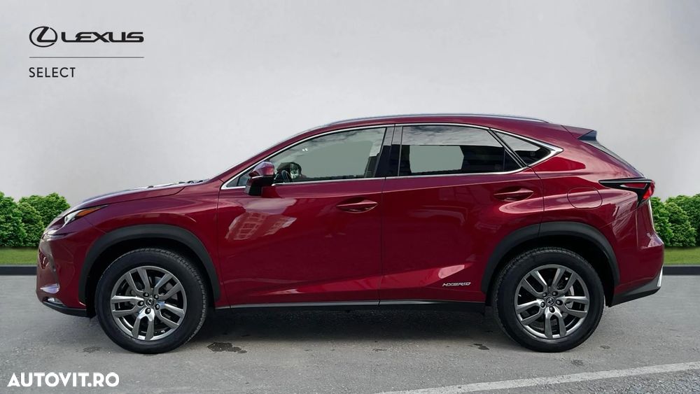 Lexus Seria NX 300h AWD Executive Plus - 5