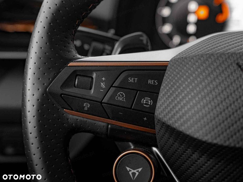 Cupra Terramar 2.0 TSI 4Drive Advantage Edition DSG - 8