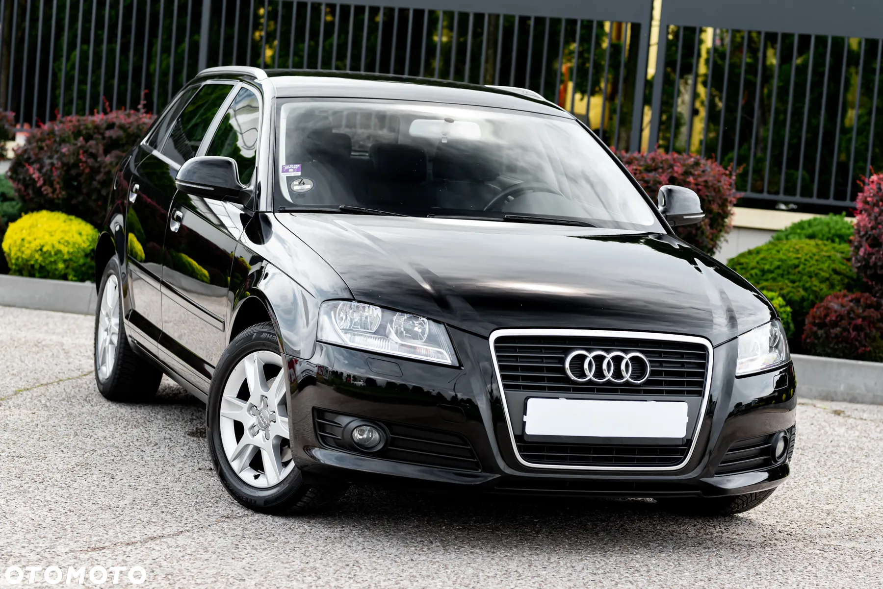 Audi A3 1.6 Sportback Ambiente - 5