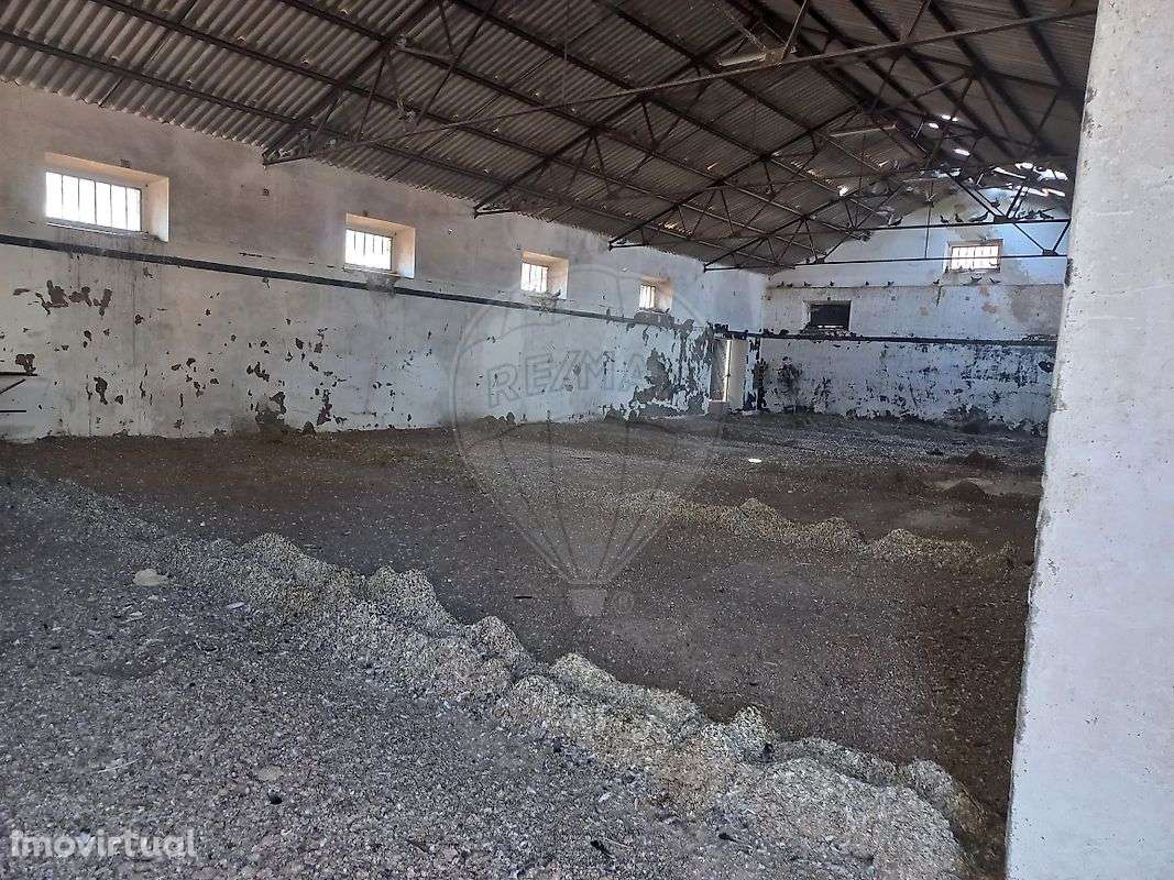 Armazém  para venda - Grande imagem: 4/6