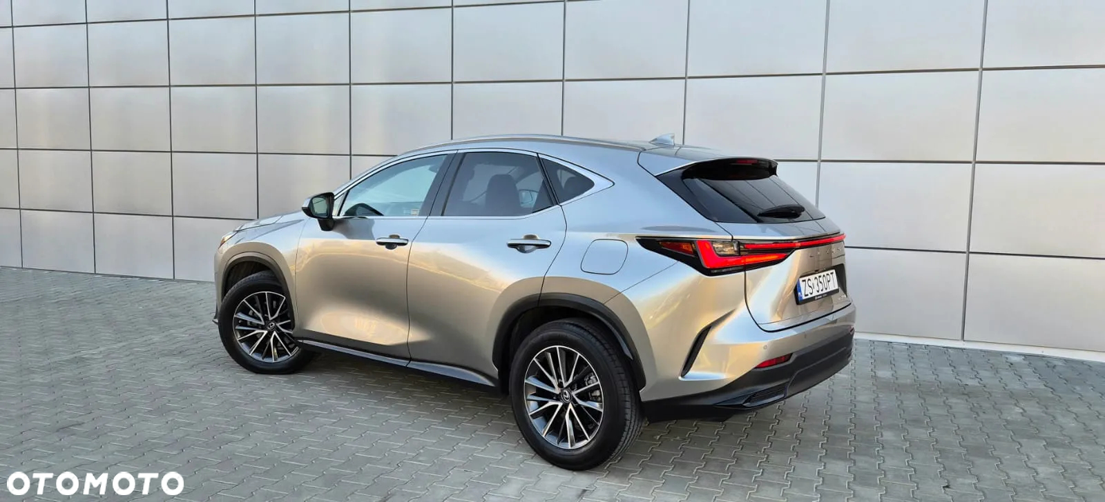 Lexus NX - 7