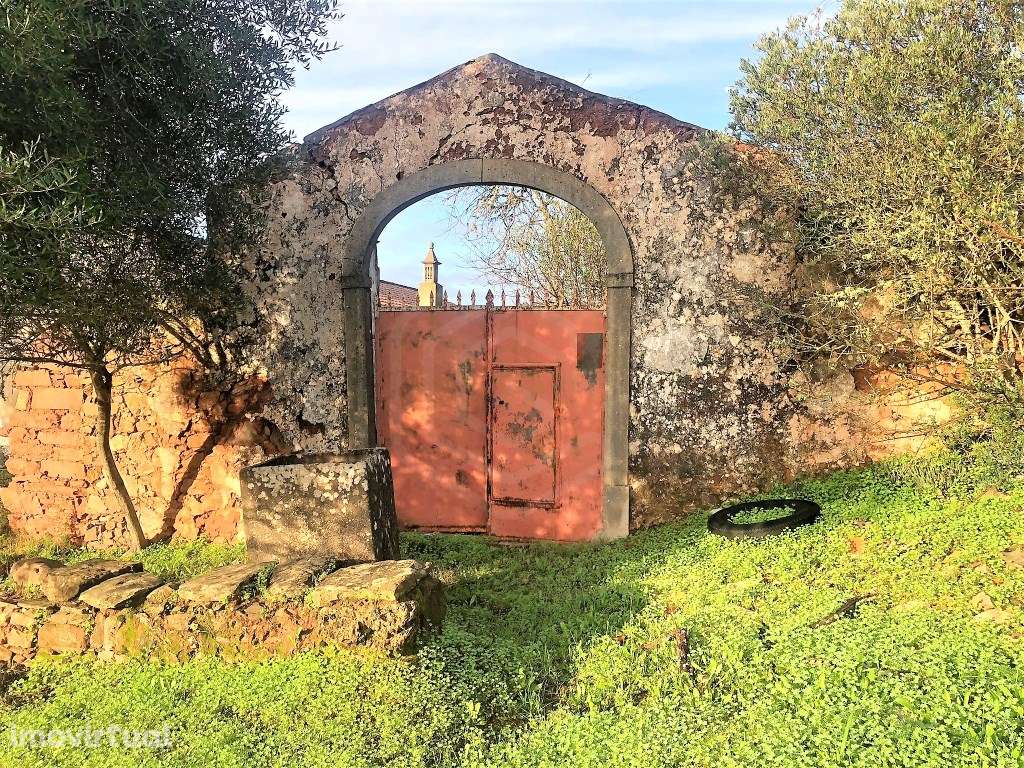 Ruina com terreno, São Brás de Alportel, Algarve - Grande imagem: 5/17