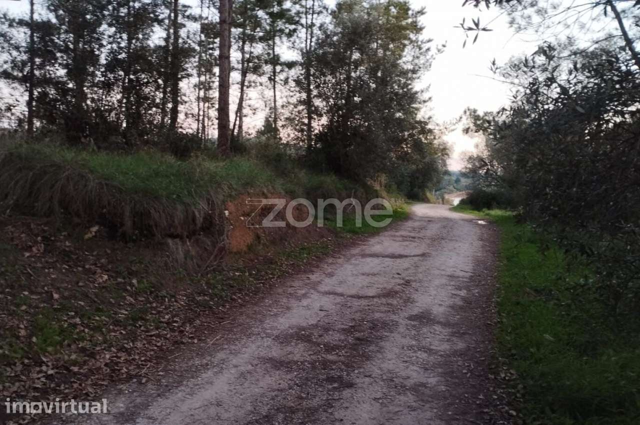 Terreno Rústico à Venda – Vila Nova de Anços 4.100m2 - Grande imagem: 2/11