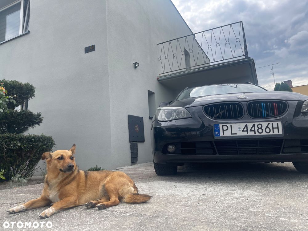 BMW Seria 5 - 8