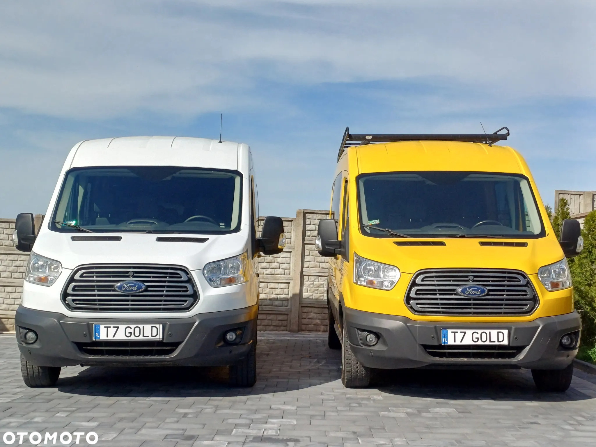Ford Transit - 2