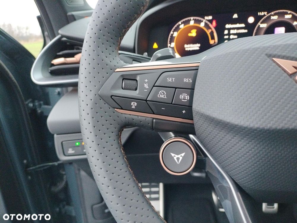 Cupra Terramar - 17