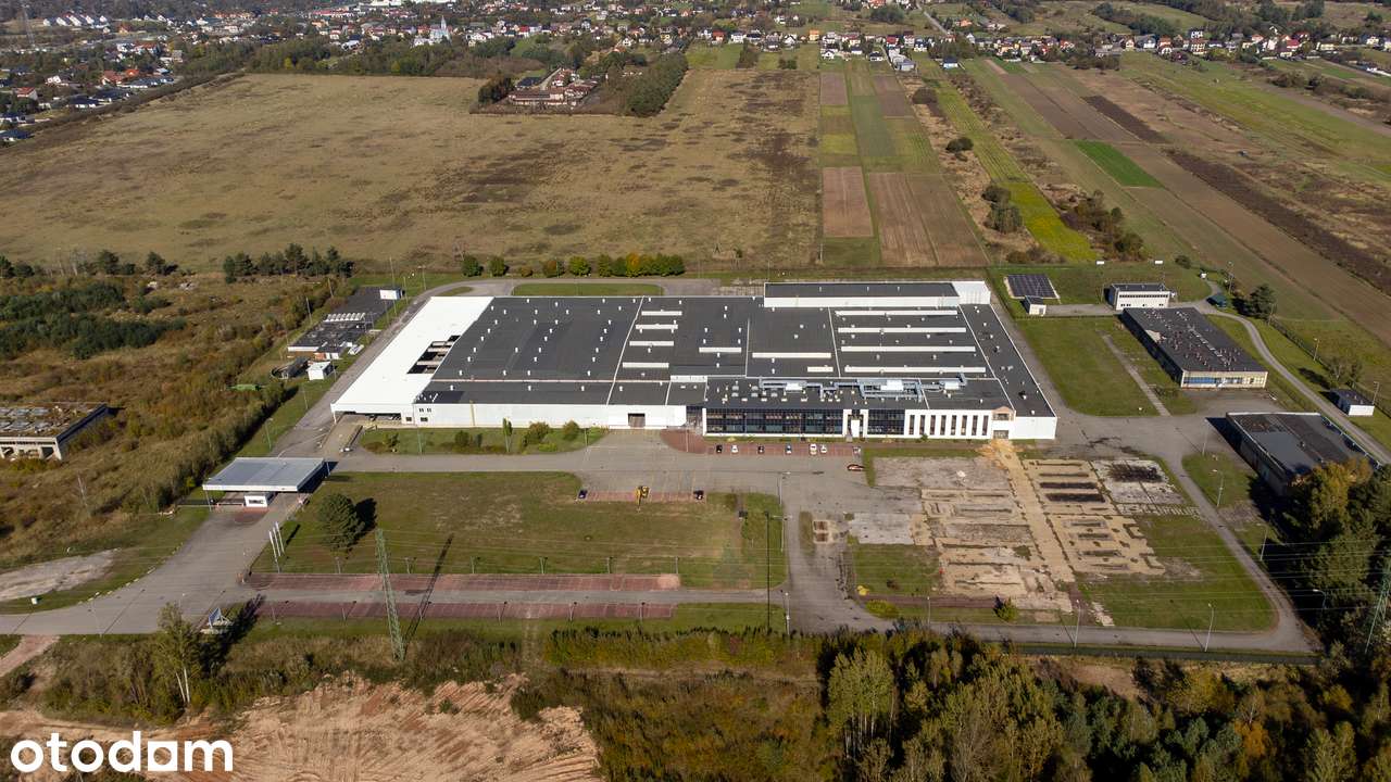 Hala produkcyjno-magazynowa wraz z pom. biurowymi na wynajem - Pełny obrazek: 5/8