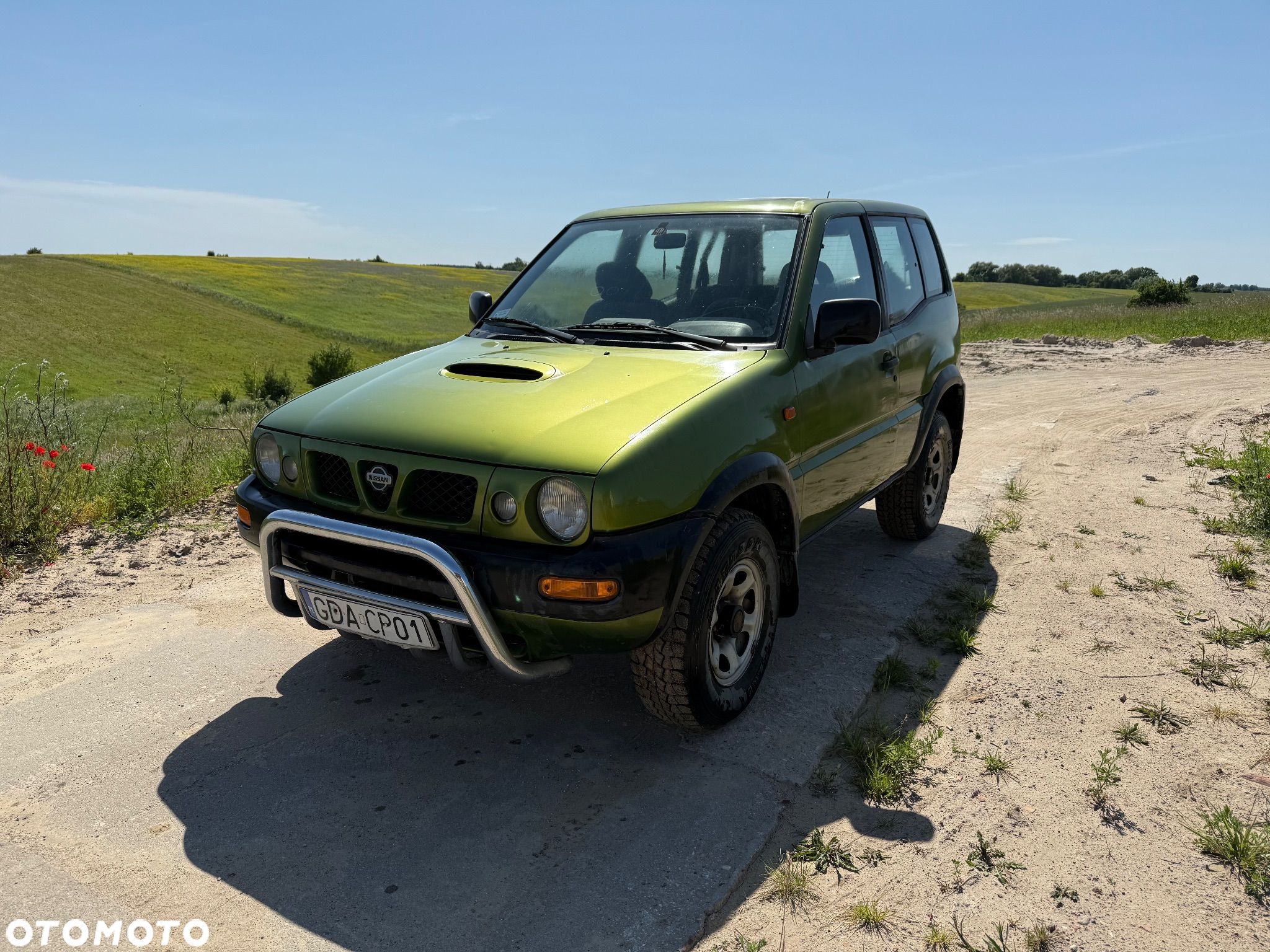 Nissan Terrano - 1