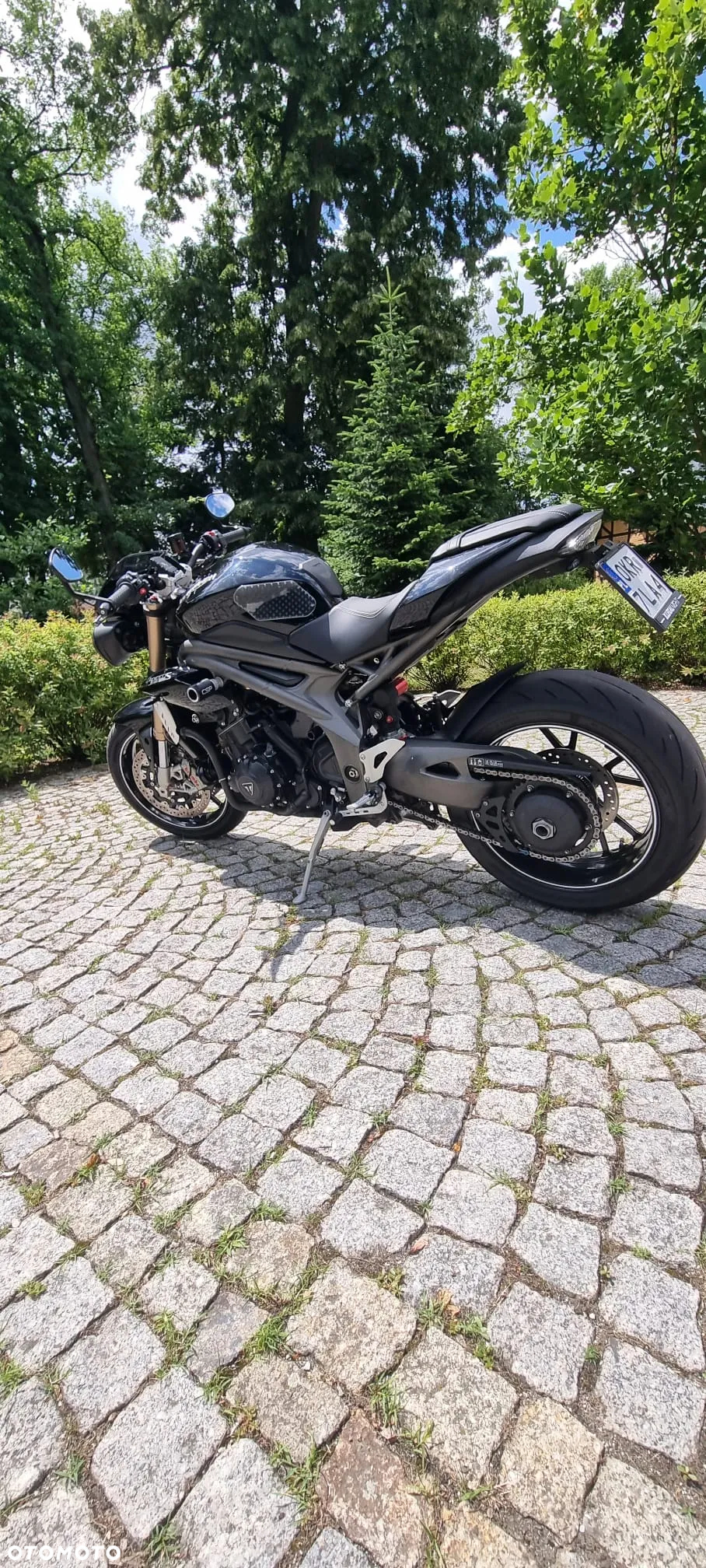 Triumph Speed Triple - 5