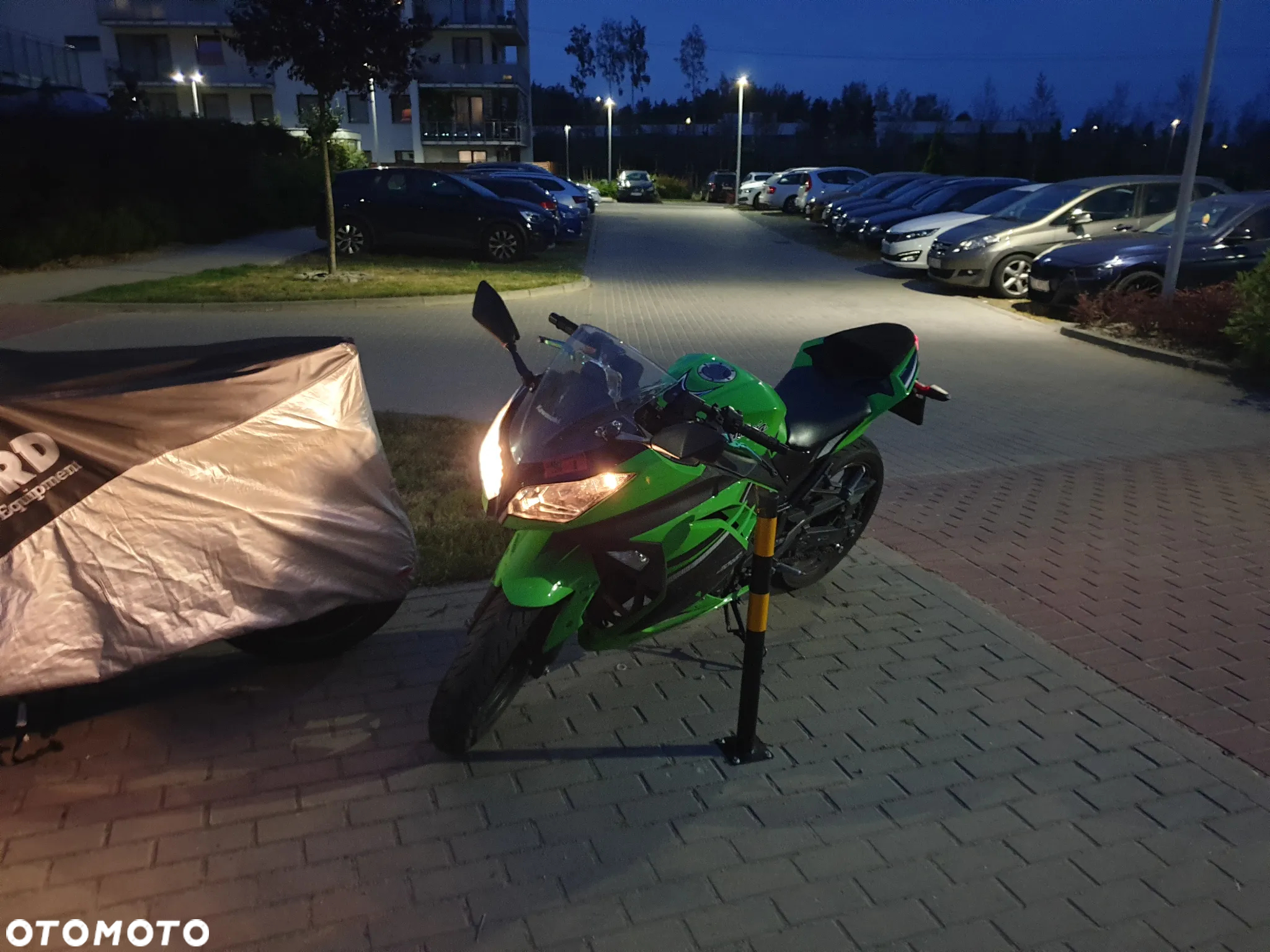 Kawasaki Ninja 300 ABS - 18