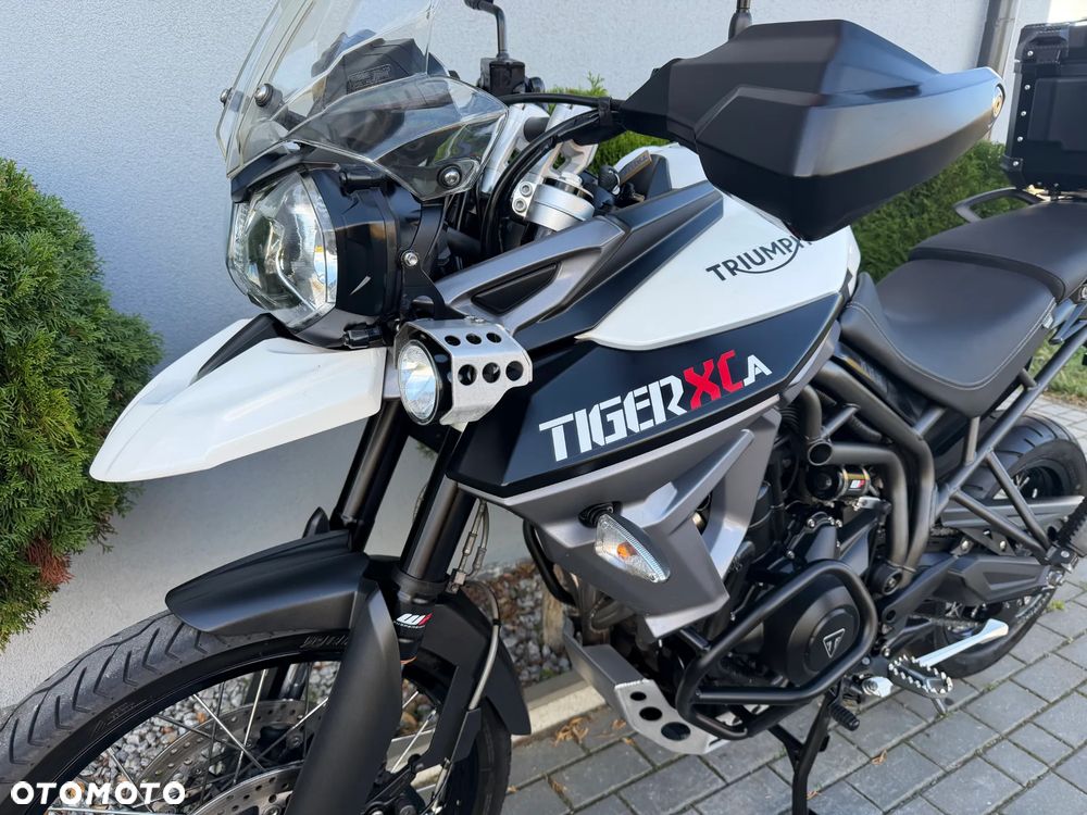 Triumph Tiger - 32