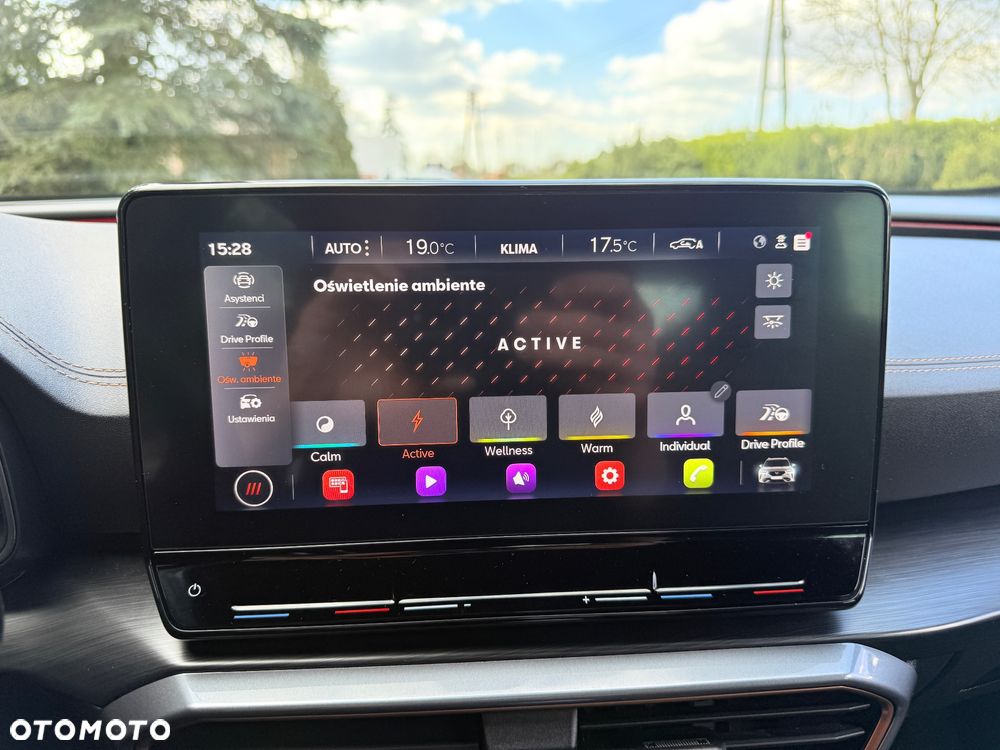 Cupra Formentor 1.5 TSI DSG Tribe Edition - 15
