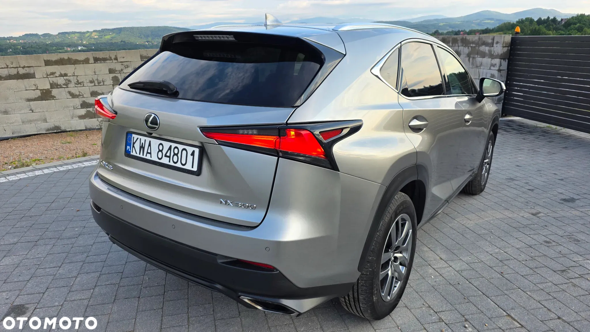 Lexus NX - 6