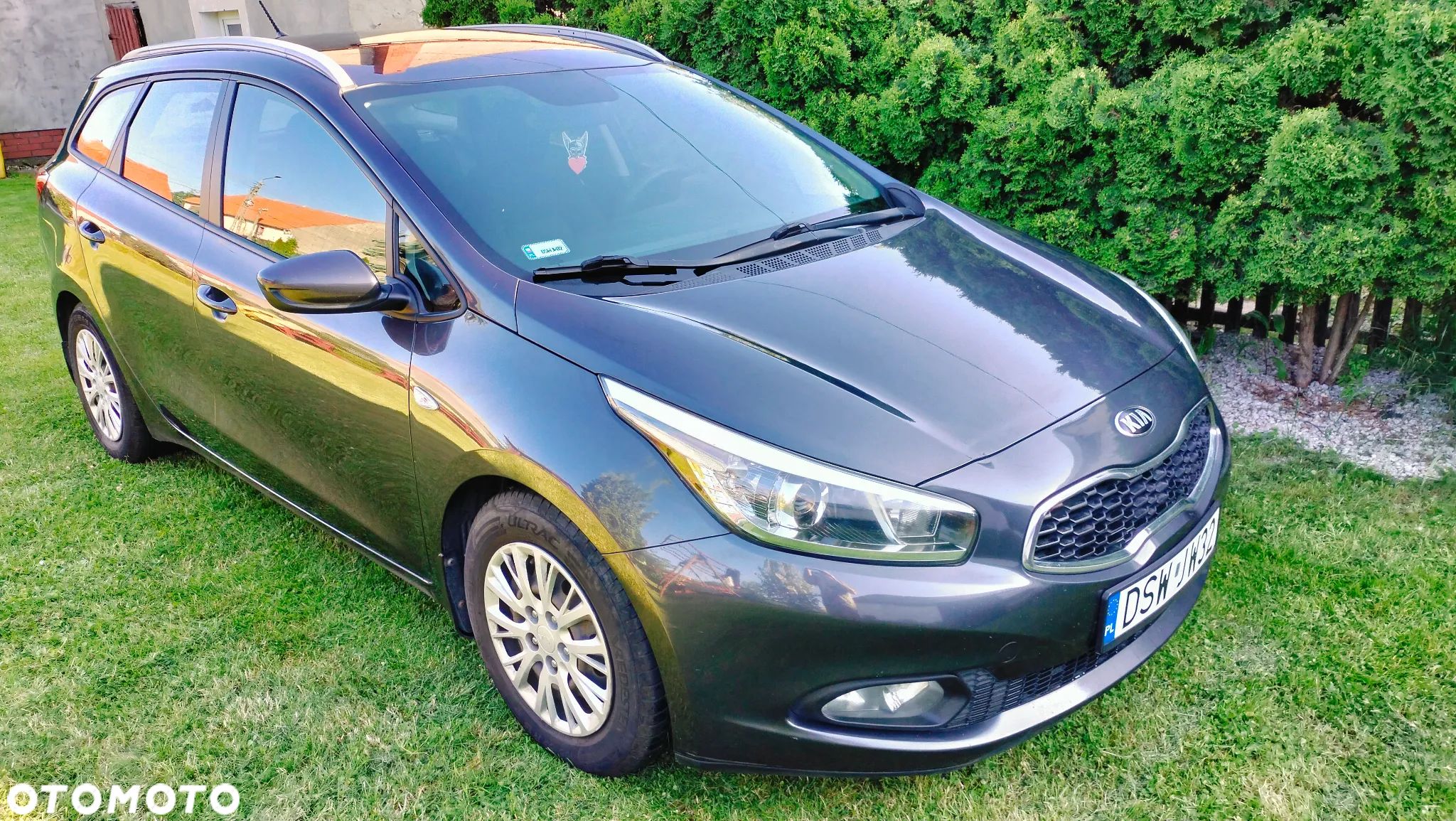 Kia Ceed - 1